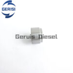 Placa v¨¢lvula Common Rail Baiyuan G18 295700-0030 RE549641 - Imagen 3