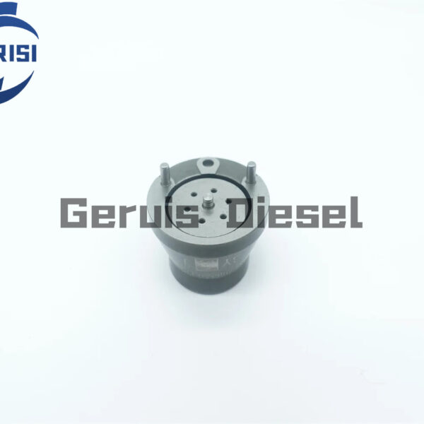 Injector DELPH1 2047600 2047601 DAF EURO6 V¨¢lvula 7206-1010