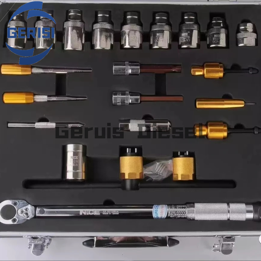 Herramientas de Bomba de Aceite Motor Diesel de Alta Presi¨®n Nuevo