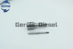 Boquilla de Combustible G467 Rail Diesel de Alta Calidad - Imagen 5
