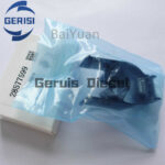 V¨¢lvula de Control Rail Com¨²n de Alta Presi¨®n BaiYuan 9308Z625C 28577599 - Imagen 6