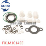 Kit Reparaci¨®n Bomba Diesel F01M101455 CR CP1 - Imagen 2