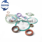 Kit Reparaci¨®n Bomba Inyecci¨®n Diesel CP3 CR