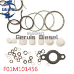 Kit Reparaci¨®n Bomba Diesel F01M101456 CR CP1
