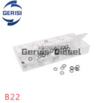 Kit Reparaci¨®n Inyector Common Rail 1000 Piezas - Imagen 4