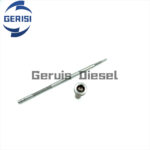 Baiyuan F00RJ01479 Common Rail 0445120067/066 para camiones