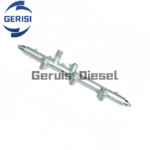 2Z0133319 Common Rail Diesel Fuel Assembly Calidad Superior